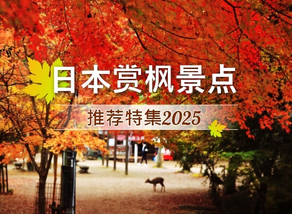 日本赏枫景点推荐特集2025