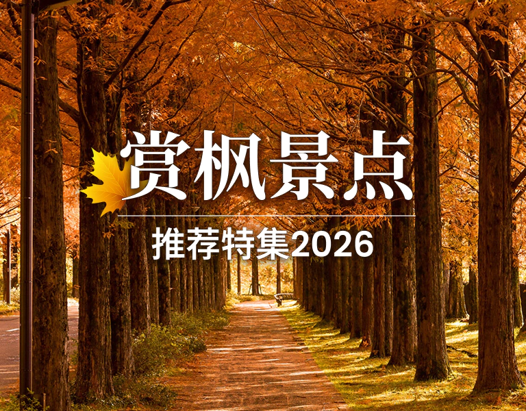赏枫景点推荐特集2026