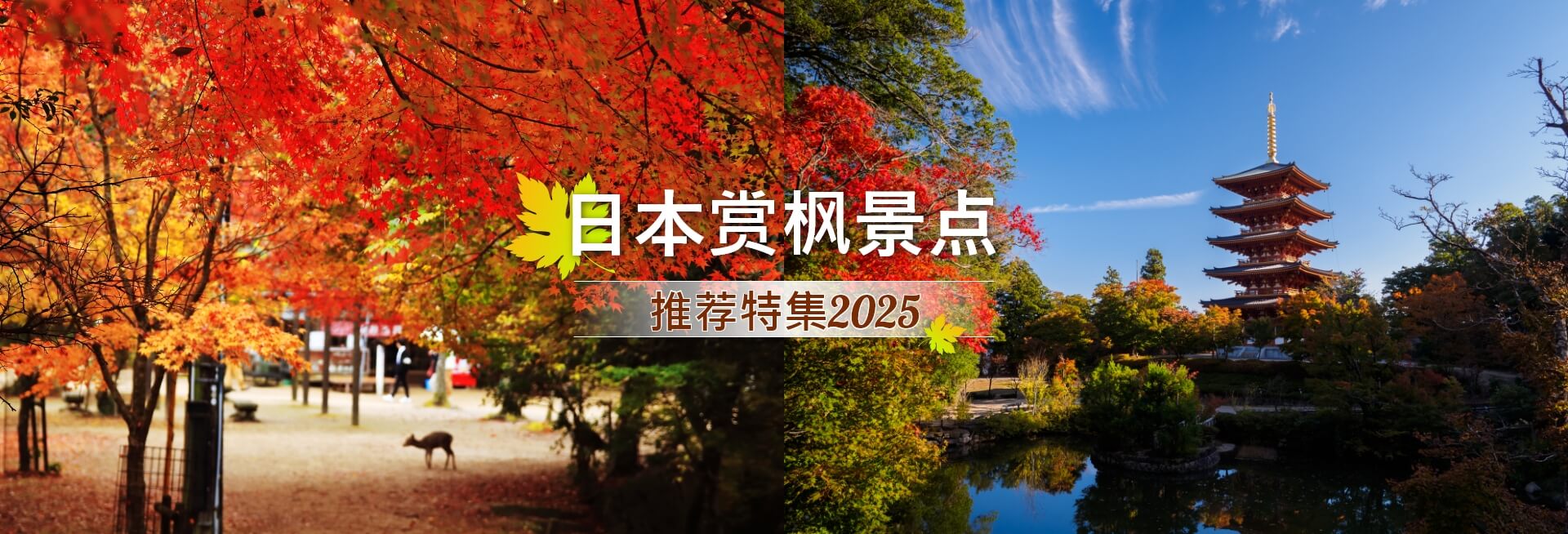 日本赏枫景点推荐特集2025