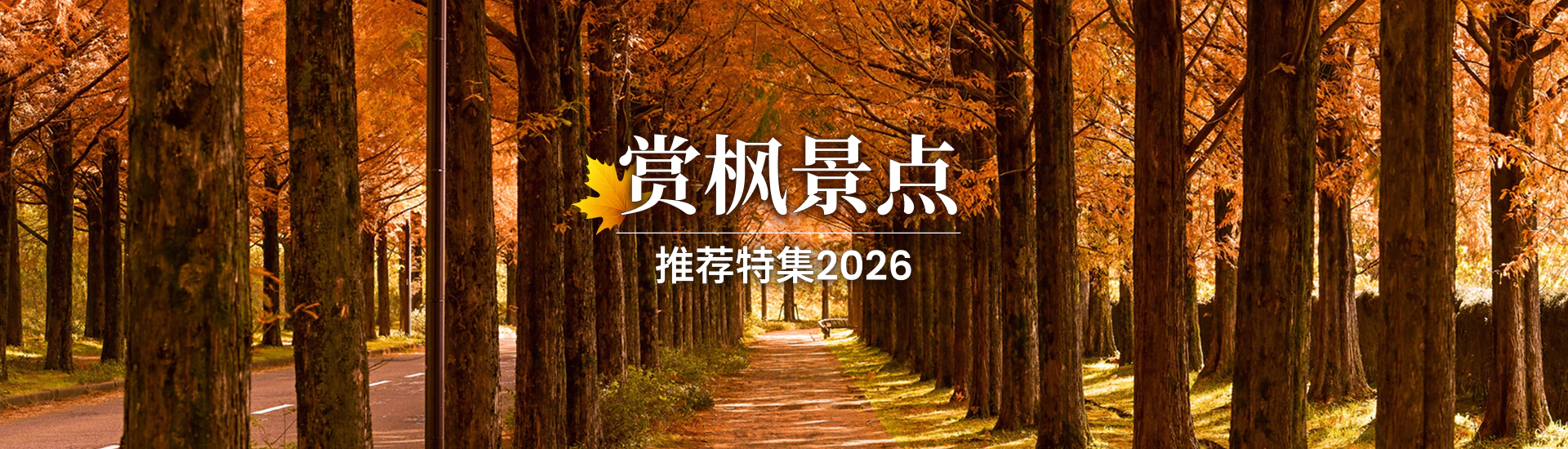 赏枫景点推荐特集2026
