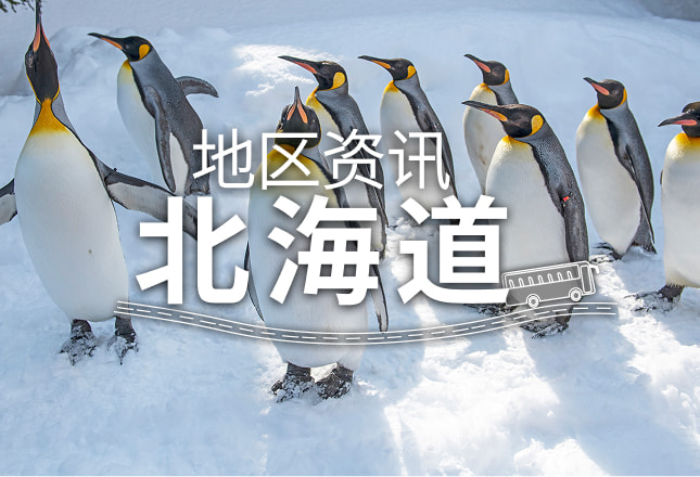 旭山动物园「企鹅散步」