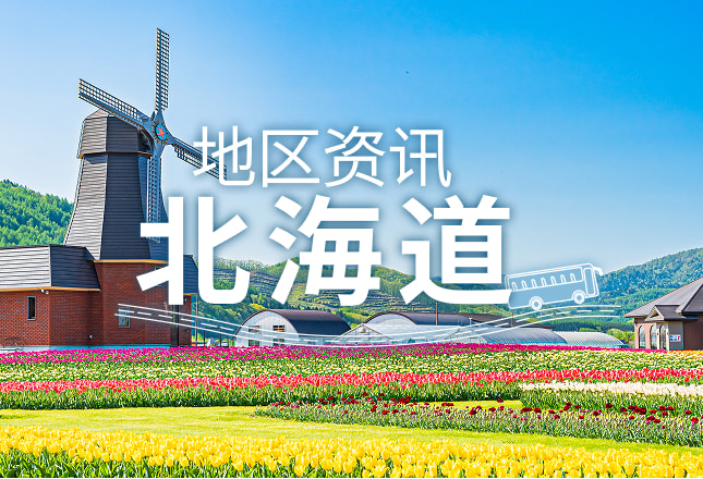 上涌别郁金香公园