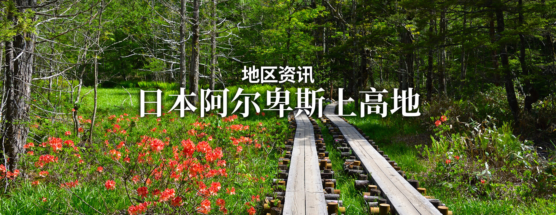 地区资讯 日本阿尔卑斯上高地 限期行驶巴士