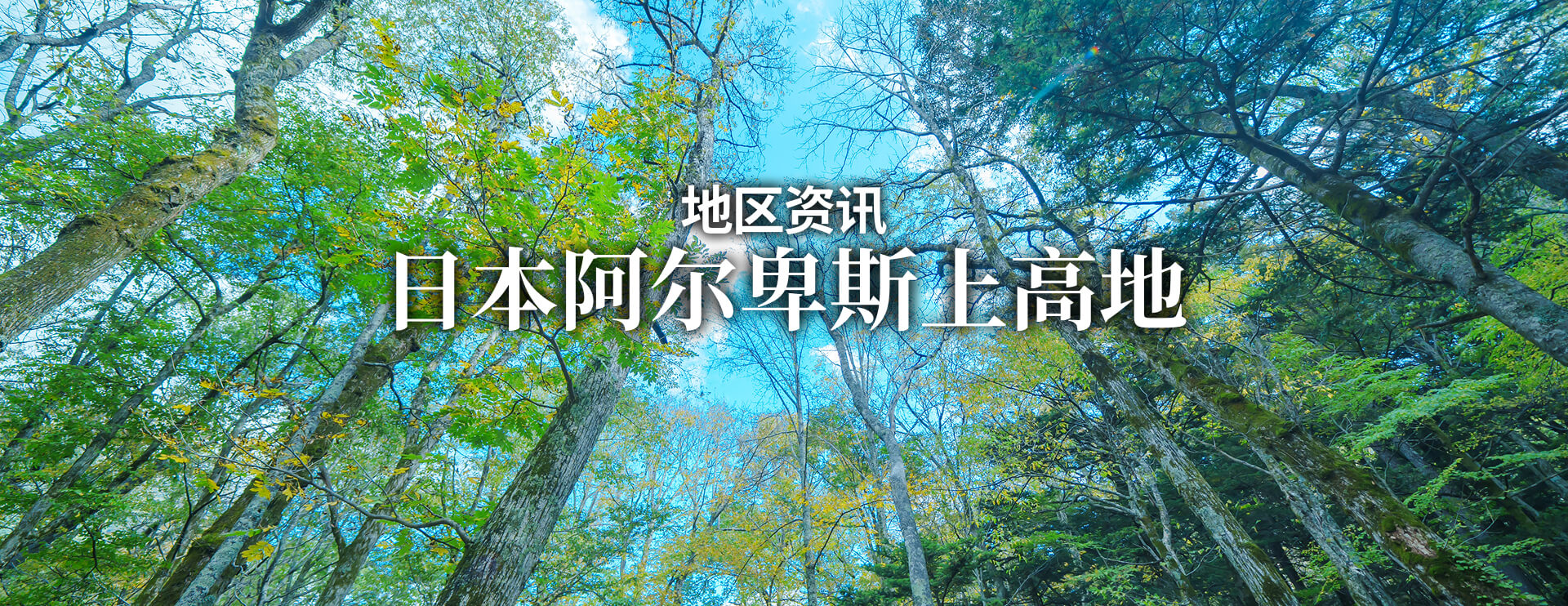 地区资讯 日本阿尔卑斯上高地 限期行驶巴士