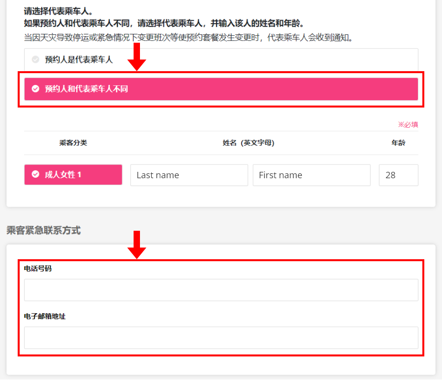 Step 10 Option 2: The reservation person is different from the representative passenger