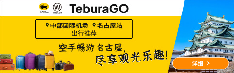 TeburaGO