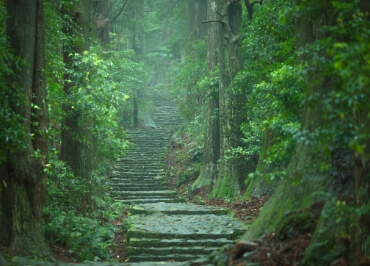 Kumano sightseeing bus