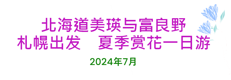 北海道美瑛与富良野　札幌出发　夏季赏花一日游