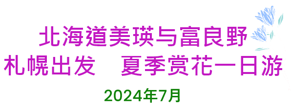 北海道美瑛与富良野　札幌出发　夏季赏花一日游