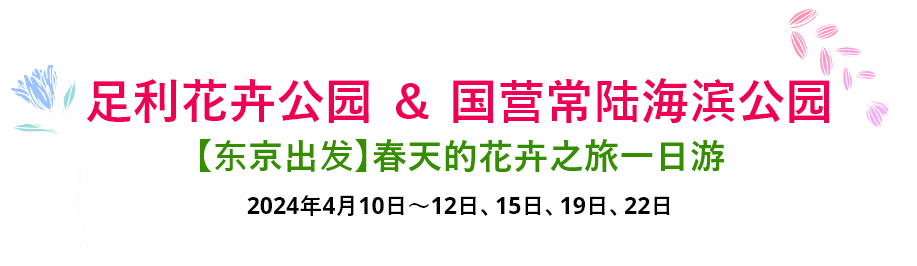 【新宿往返】春季赏花一日游足利花卉公园+常陆海滨公园