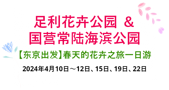 【新宿往返】春季赏花一日游足利花卉公园+常陆海滨公园