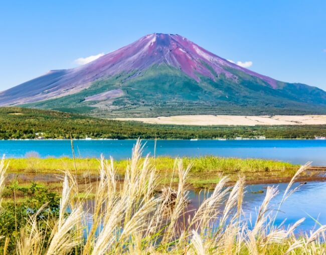 富士山1合目～5合目健走一日游