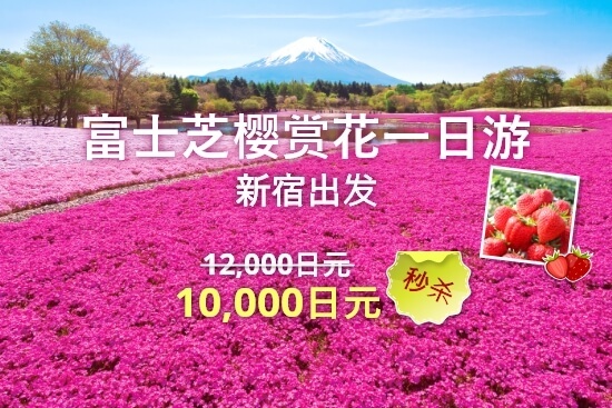 富士芝樱赏花一日游 2026