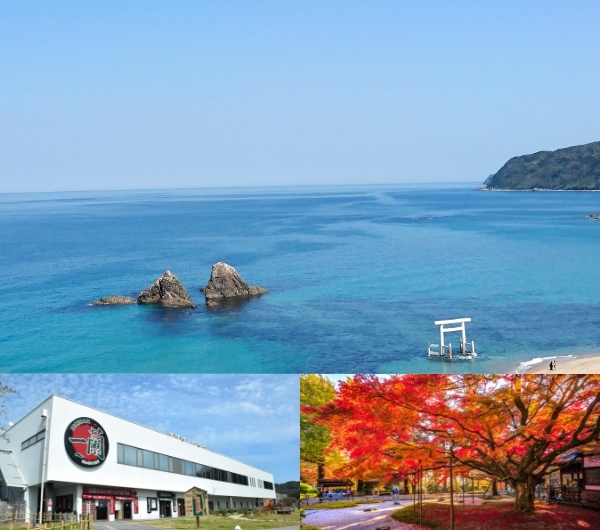 1 Day ITOSHIMA Tour from Hakata Fukuoka
