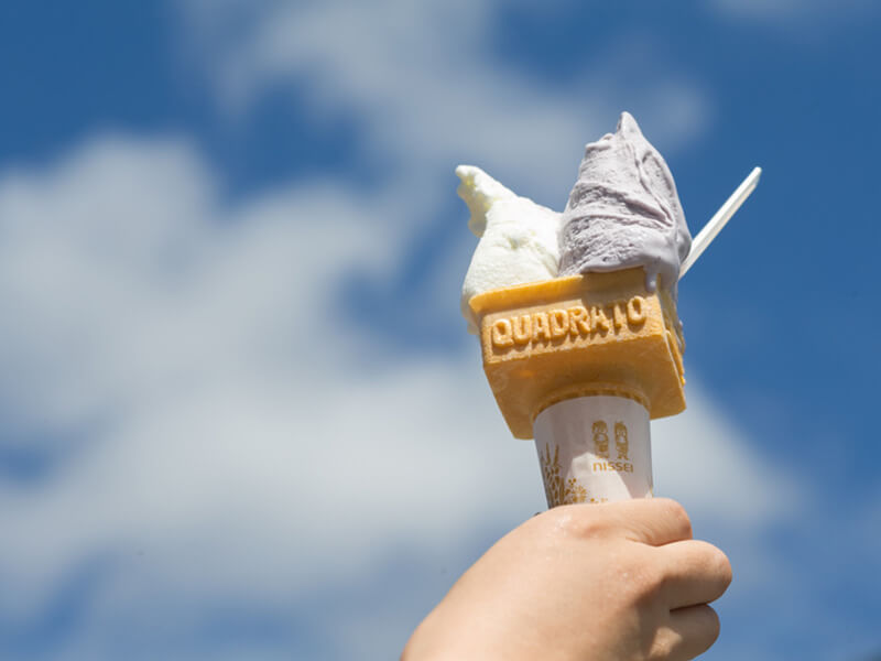 美山町茅葺屋之里一日游