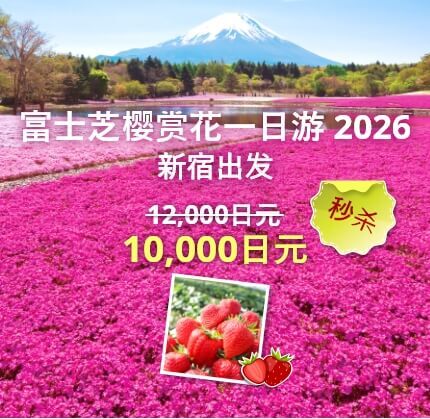 富士芝樱赏花一日游 2026