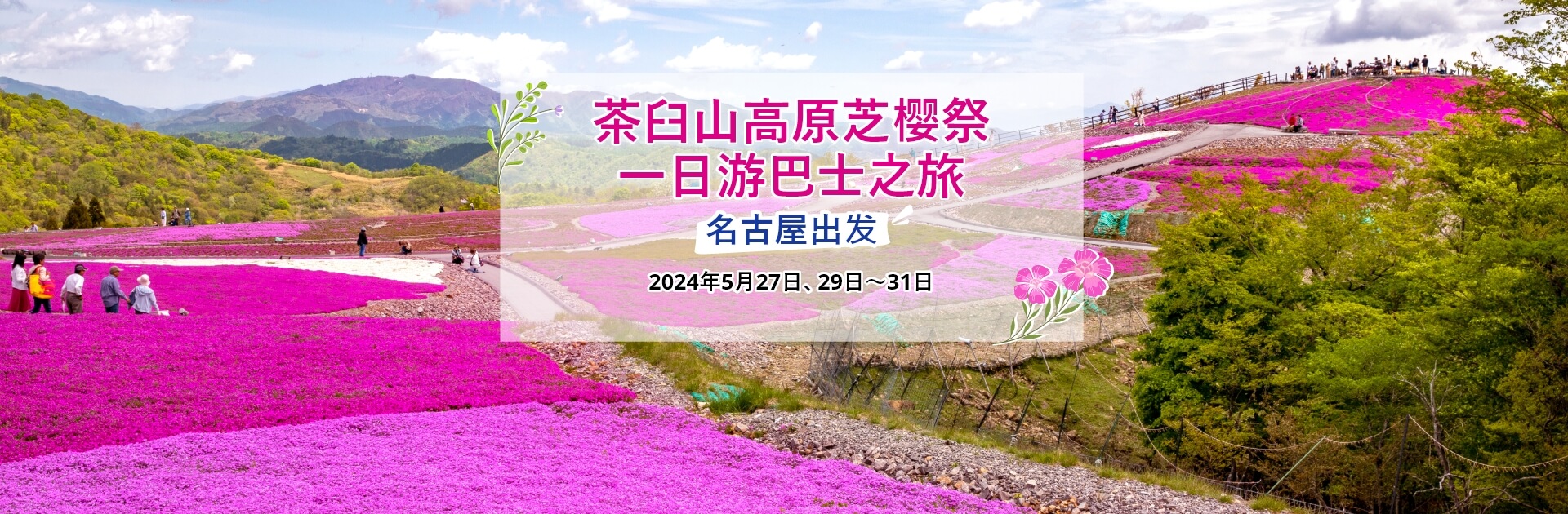 名古屋出发 茶臼山高原芝樱祭一日游巴士之旅