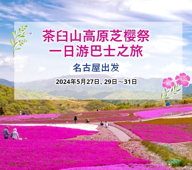 名古屋出发 茶臼山高原芝樱祭一日游巴士之旅