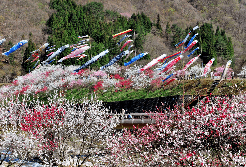 Hanamomo no Sato Peach Blossom Village