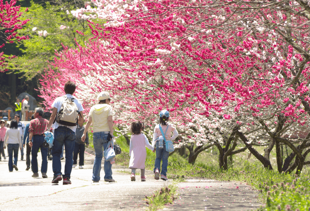 Hanamomo no Sato Peach Blossom Village