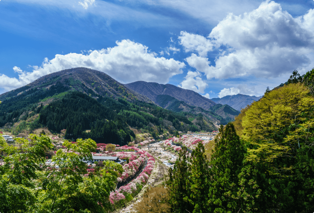 Hanamomo no Sato Peach Blossom Village