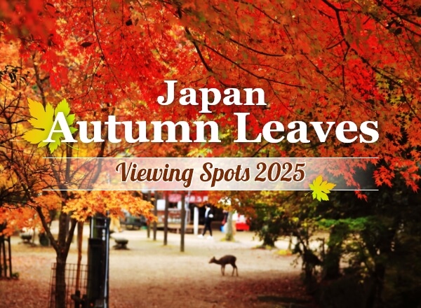 Japan Autumn Leaves Viewing Spots 2025