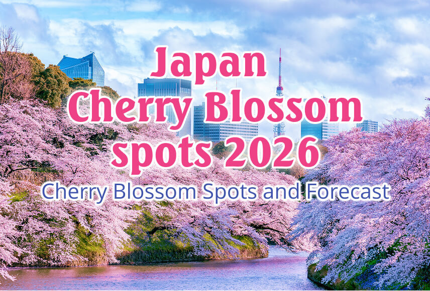 Japan Cherry Blossom Forecast & Spots 2026 | WILLER TRAVEL