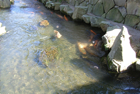 Seto River and White Wall Storehouse Street