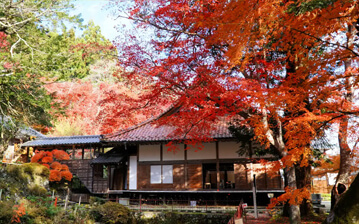 Gyokuryuji Temple