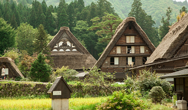 Ogimachi Village