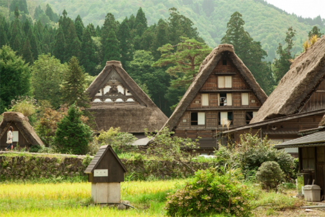 Ogimachi Village