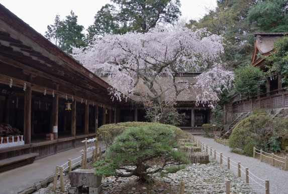 Nara