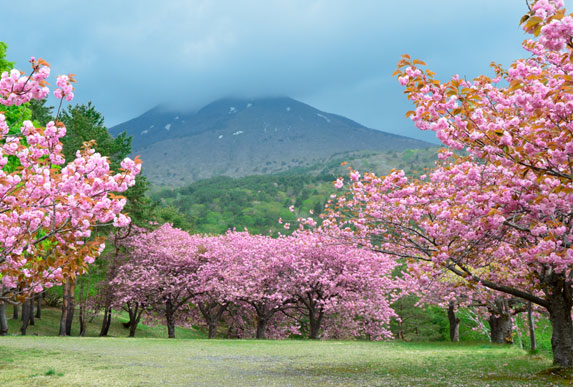 Fukushima