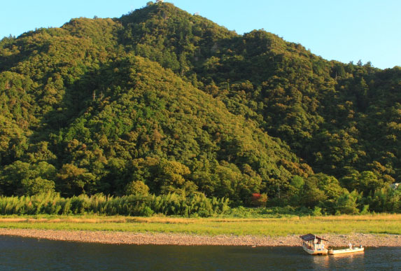 Gifu
