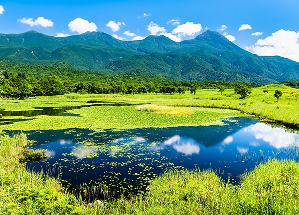 World Heritage Site: Shiretoko