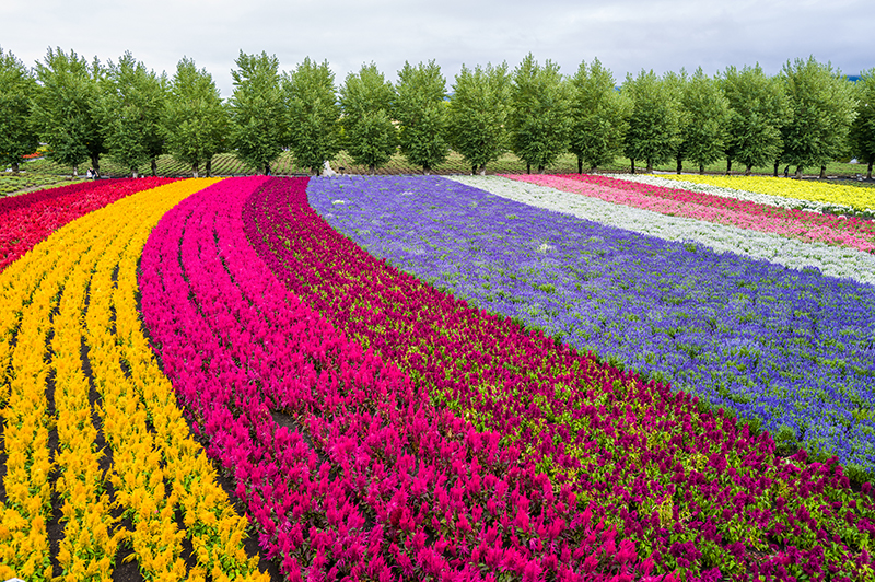 Furano