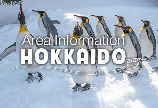 Penguin Walk at Asahiyama Zoo