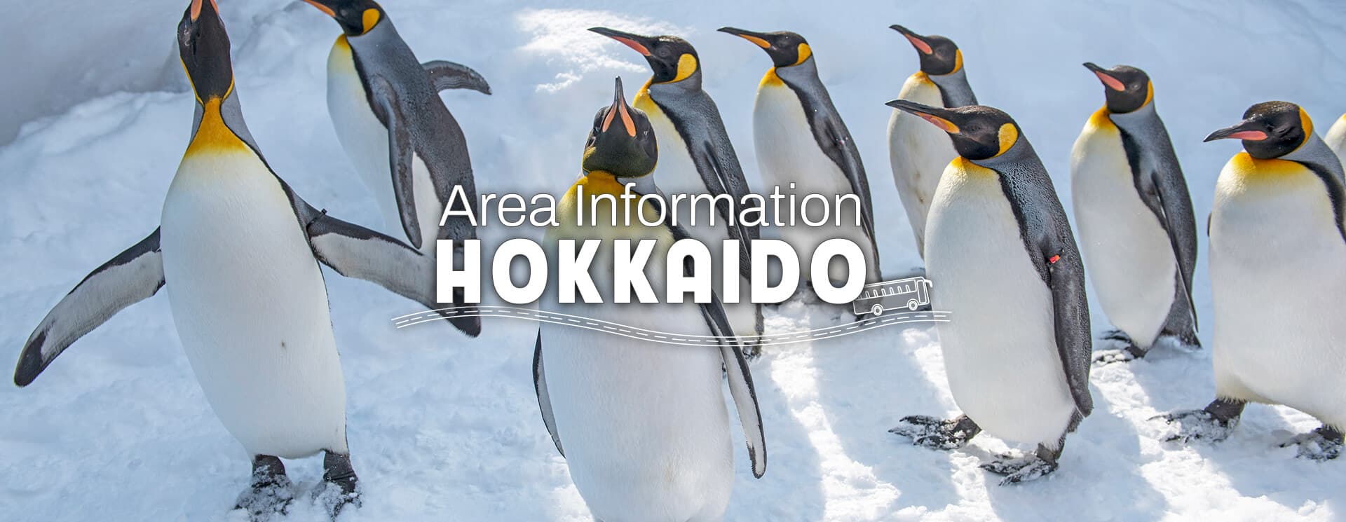 Area Information: Hokkaido