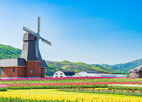 Kamiyubetsu Tulip Park
