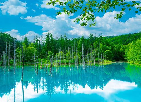 Biei Blue Pond