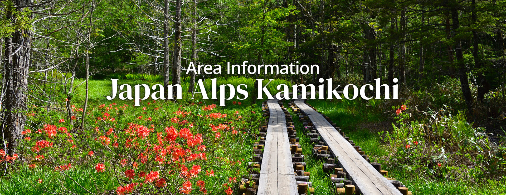 Area Information Japan Alps Kamikochi Seasonal Bus Services