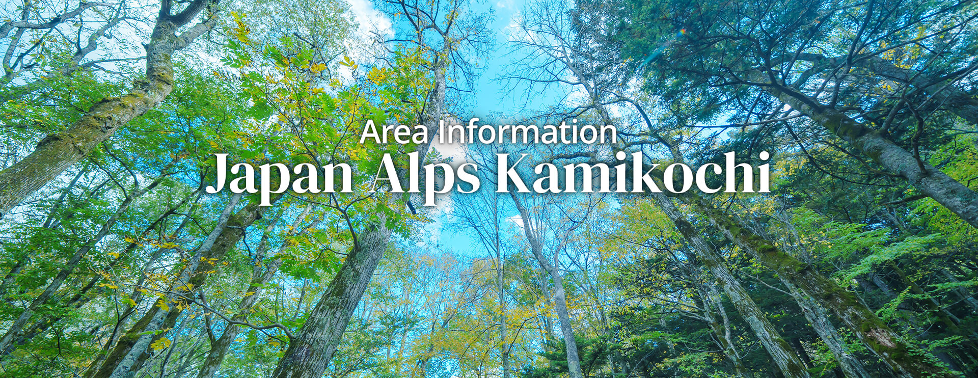 Area Information Japan Alps Kamikochi Seasonal Bus Services