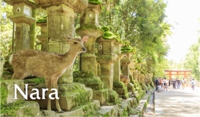 Nara