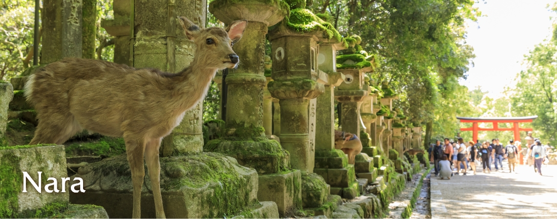 Nara