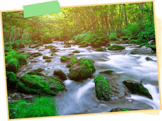 Oirase Gorge