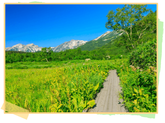 Tsugaike Natural Garden