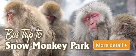 snowmonkeytown