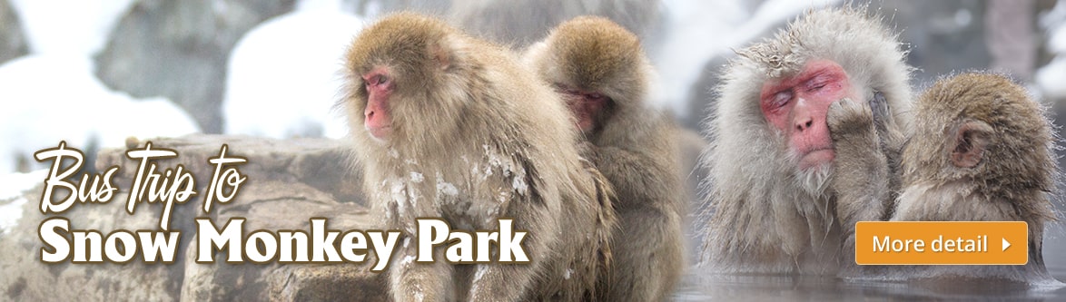 snowmonkeytown