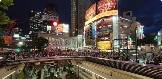 Regular Japanese Dinner Menu - Dinner Sightseeing