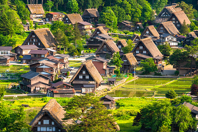 World Heritage Trip to visit historical village of Gokayama Ainokura and Shirakawago